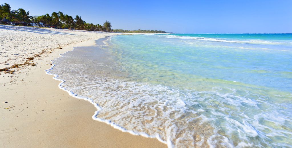 Hotel Amani Tiwi Beach Resort 5* e Safari