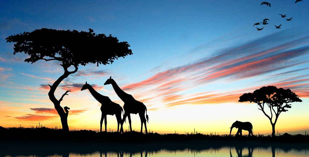 Hotel Amani Tiwi Beach Resort 5* e Safari