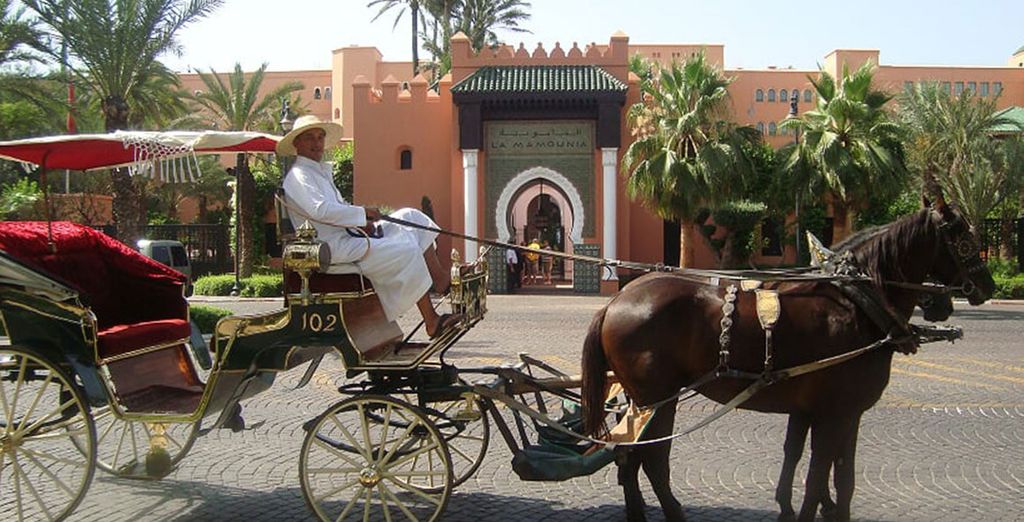 Adama Resort Marrakech 4* con escursione alla scoperta della città