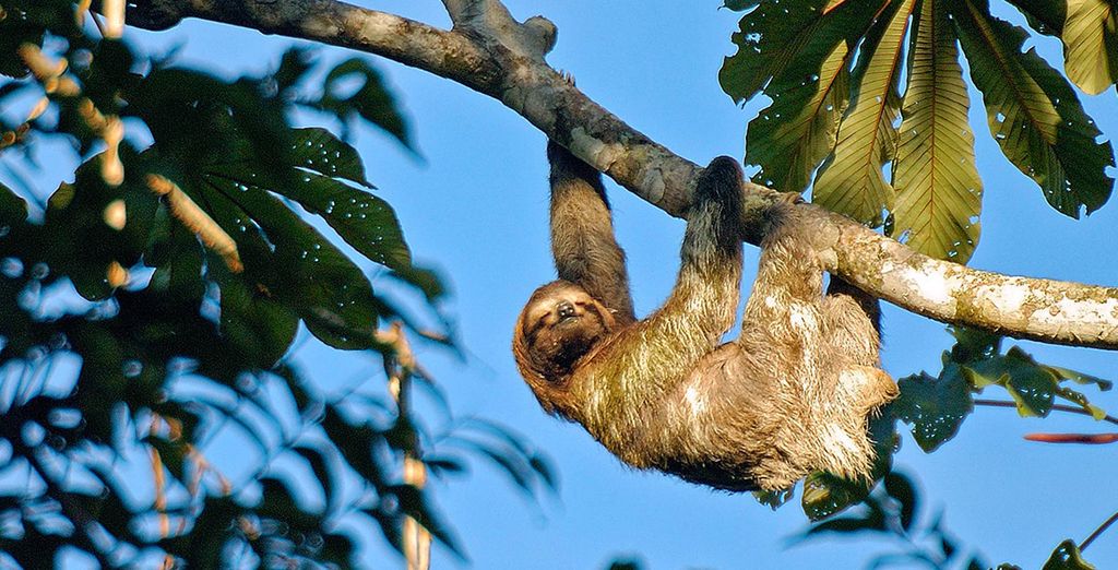 Tour 10 o 12 notti in Costa Rica + Nicaragua con noleggio auto 