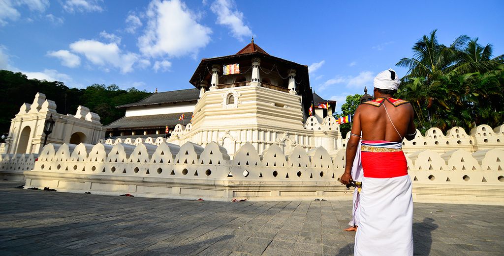 Tour privato in Sri Lanka con possibile soggiorno a Dubai