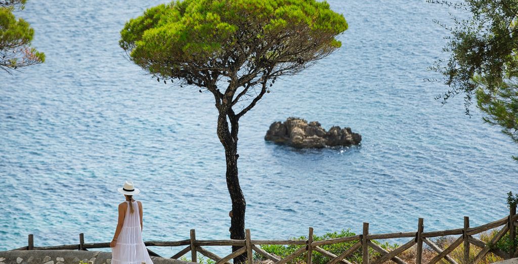 I tesori dell'Egeo - Skiathos, Skopelos e Alonissos