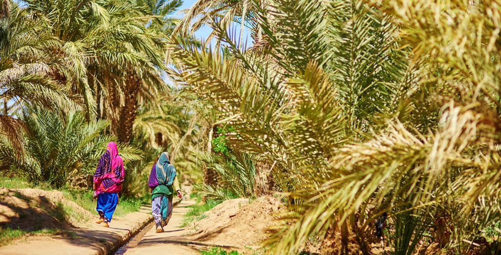 Tour tra Kasbah e Oasi 