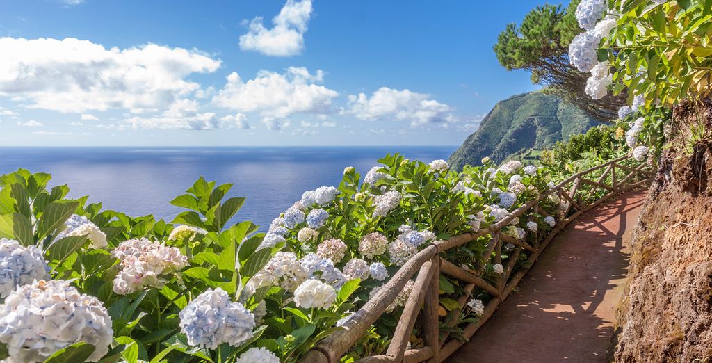 Gran tour Portogallo ed Azzorre in 4*