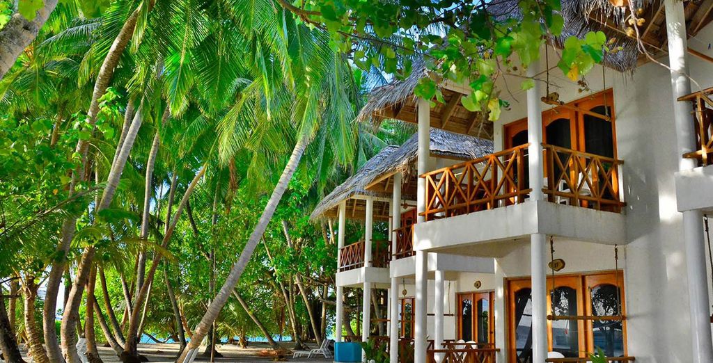 Minitour Sri Lanka 5 giorni / 4 notti & Fihalhohi Island Resort 4*