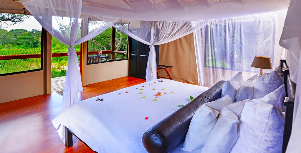 Tour Natura, Cultura e Safari in Sudafrica