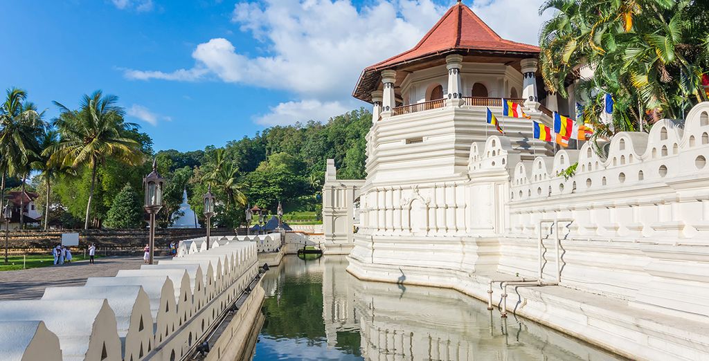 Tour Privato dello Sri Lanka