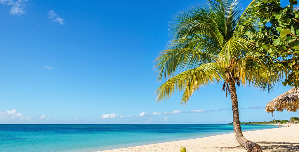 Four Seasons Hotel Miami 5* + Breathless Montego Bay Resort & Spa 5* - Adults Only
