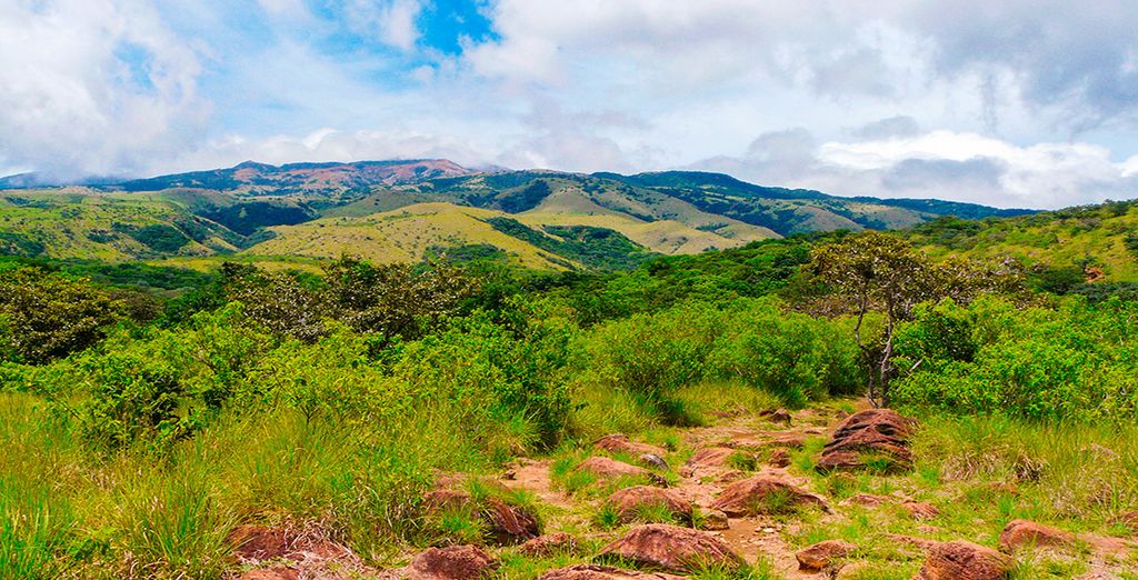 Andaz Costa Rica Resort at Peninsula Papagayo 5* con possibile autotour
