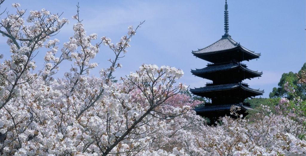 Tour Giappone Classico con Estensione Onsen e Vita Rurale