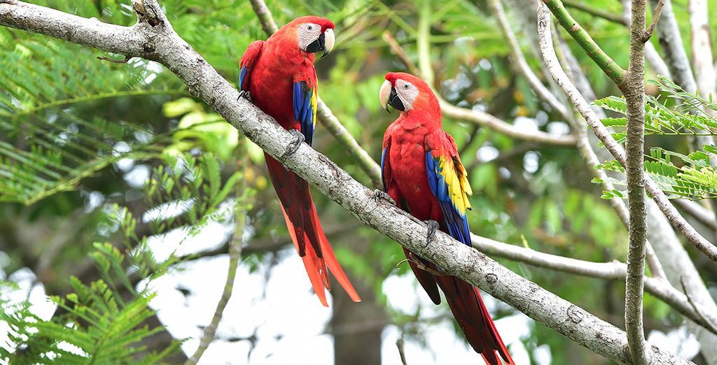 Brasile tra Rio de Janeiro e Paraty