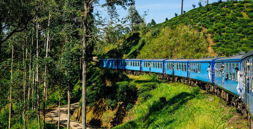 Tour privato dello Sri Lanka e soggiorno alle Maldive