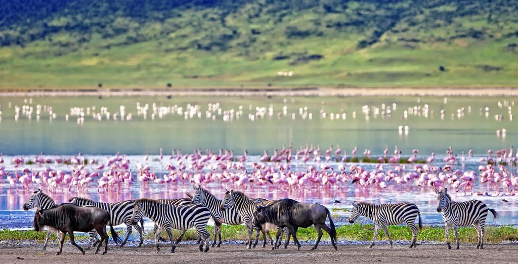 Safari privato Tsavo East e Ovest