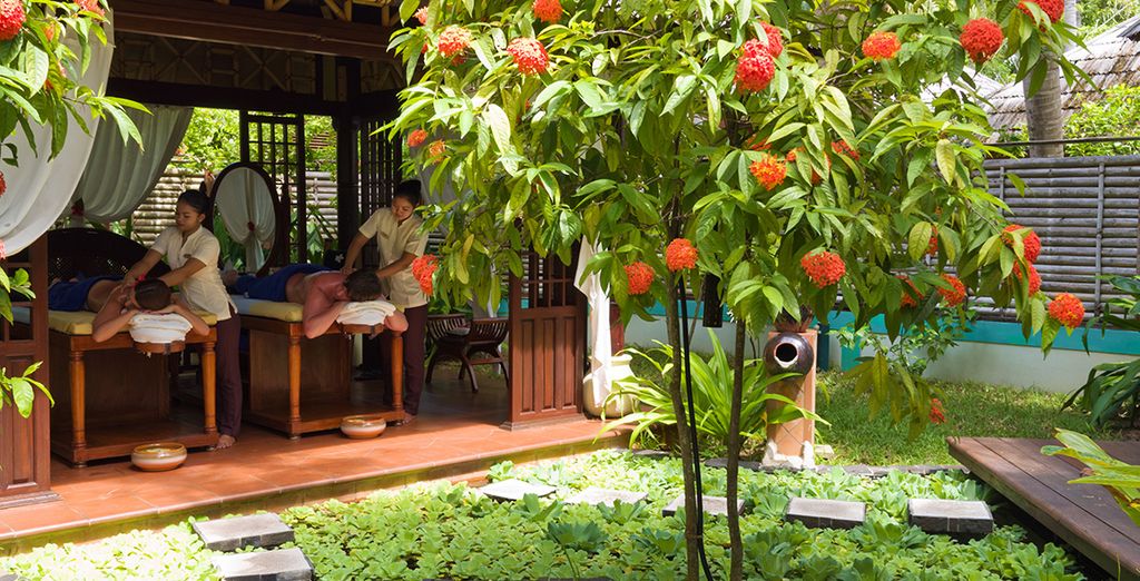Minitour Sri Lanka + Sun Island Resort & Spa 4*