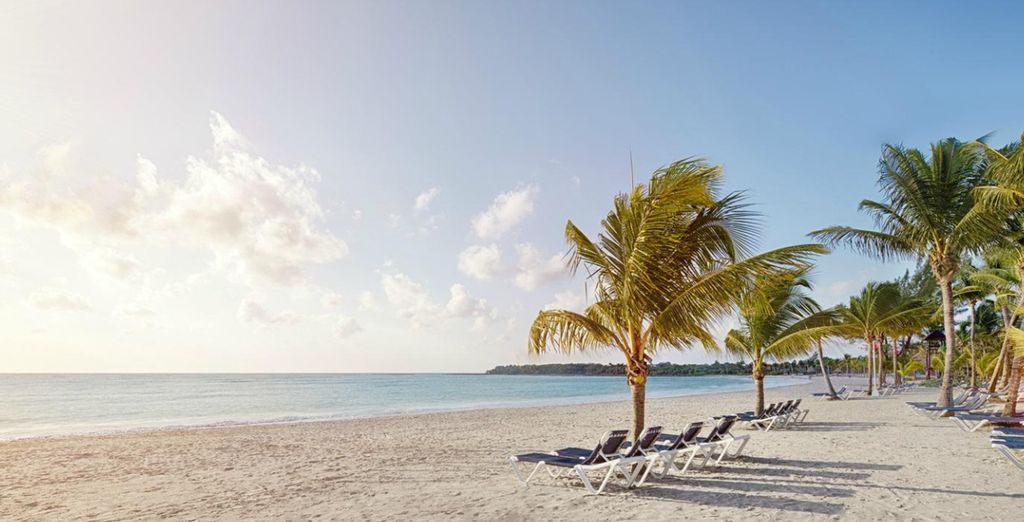 Holiday Inn New York Times Square + Barcelo Maya Beach 5*