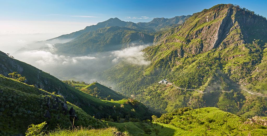 Tour dello Sri Lanka in 8 o 10 notti