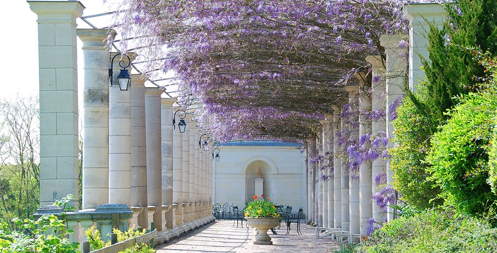 Chateau de Rochecotte 4*