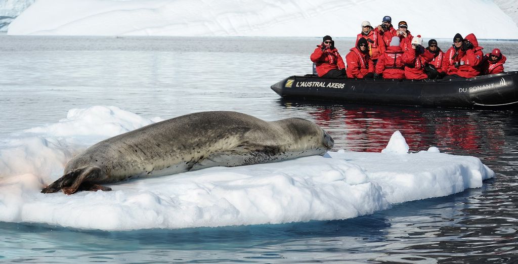 Crociera oltre il Circolo Polare Antartico