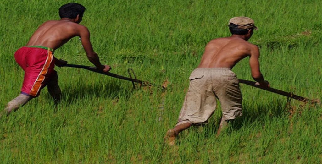 Tour dell'Est del Madagascar