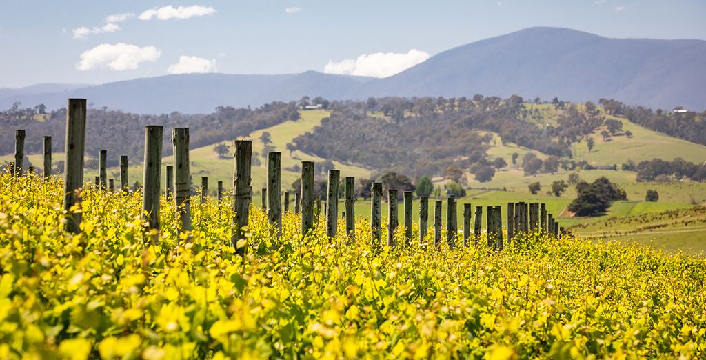 Il meglio dell'Australia in hotel 4*