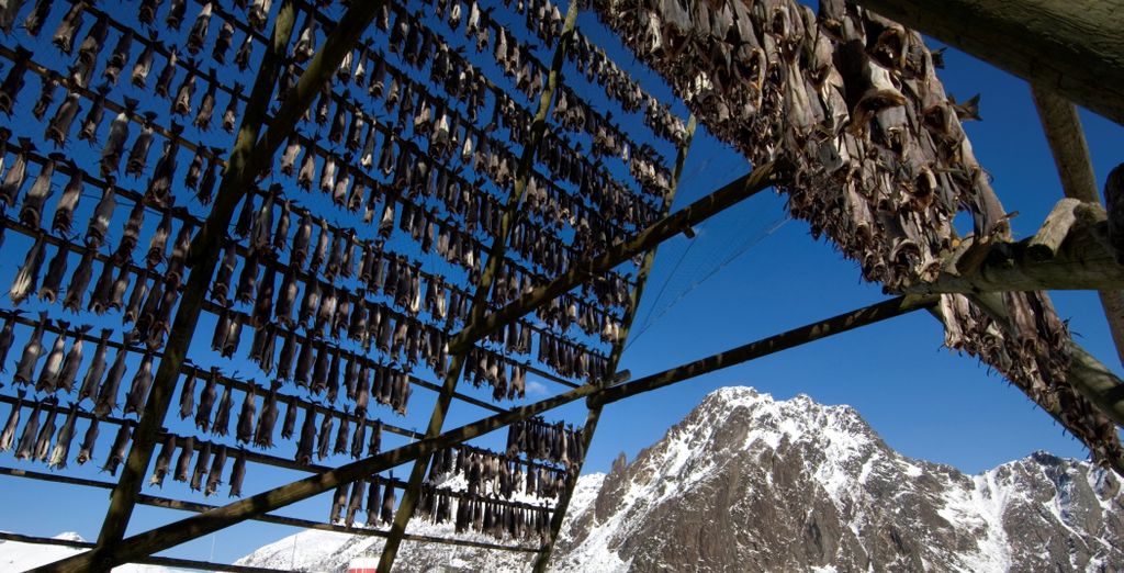 Tour delle Isole Lofoten con accompagnatore parlante italiano