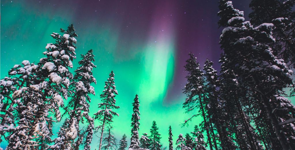 Tromso Polar Nights