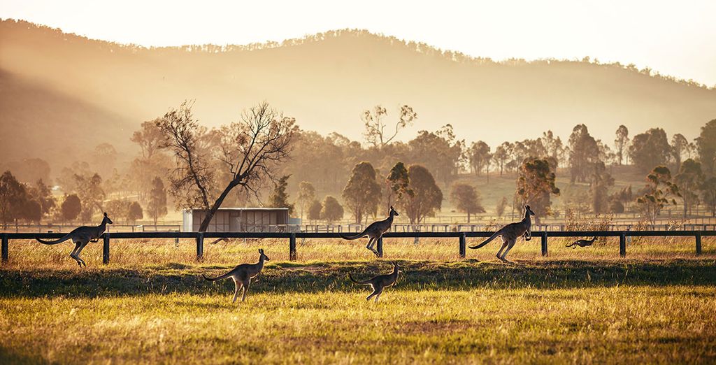Alla scoperta dell'Australia in hotel 4* in 9 o 14 notti