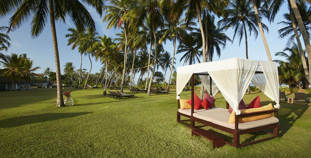 Tour Sri Lanka in hotel 4* + Avani Bentota Resort 5* 