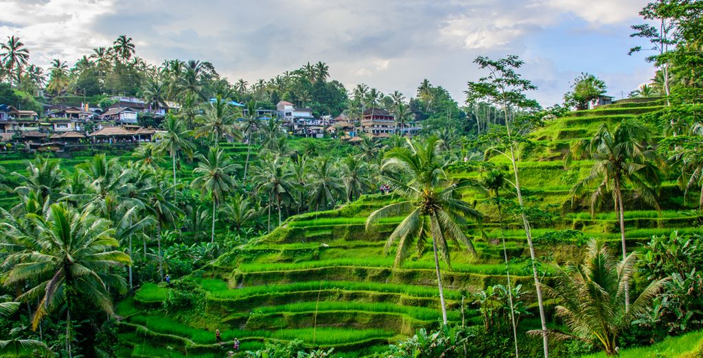 Le meraviglie di Bali e soggiorno mare