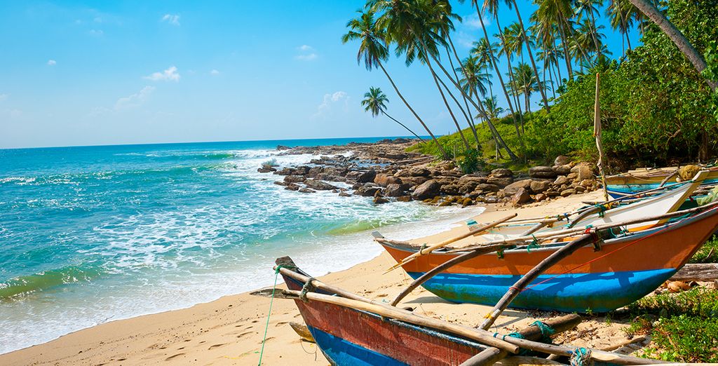 Tour dello Sri Lanka in 8 o 10 notti