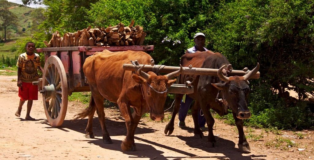 Tour dell'Est del Madagascar