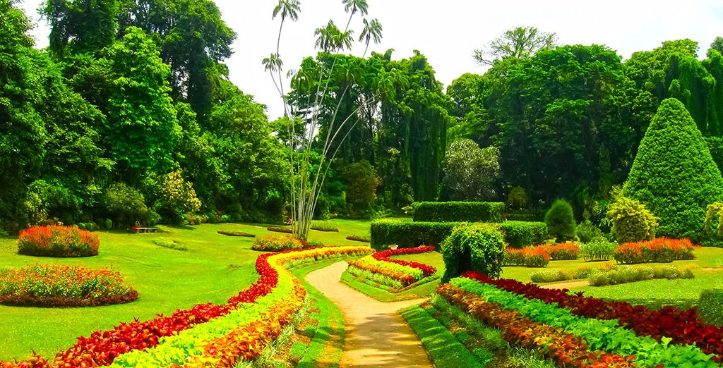 Tour dello Sri Lanka in 5 notti + estensione mare