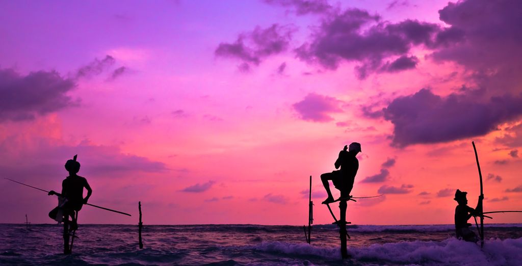 Mini Highlights dello Sri Lanka & estensione mare in 4*