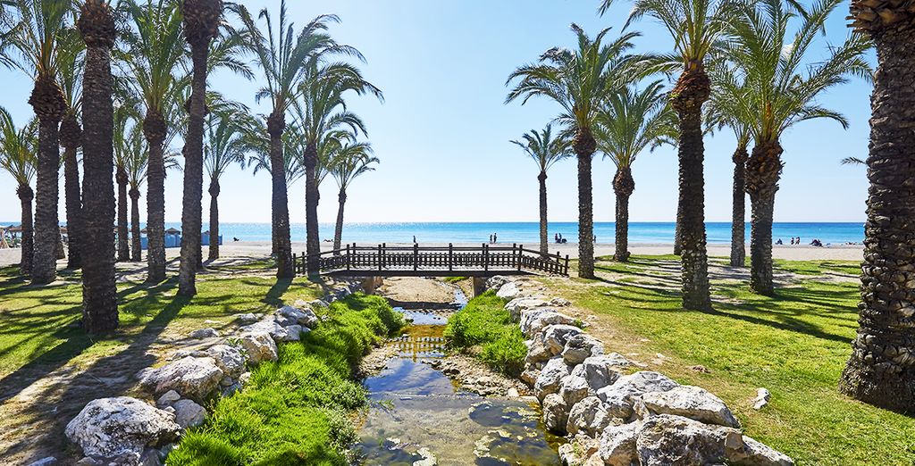 Hotel Gran Cervantes by BLUESEA 4*
