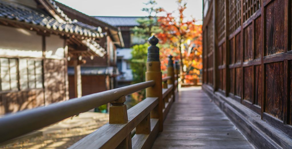 Tour del Giappone tra zen e benessere