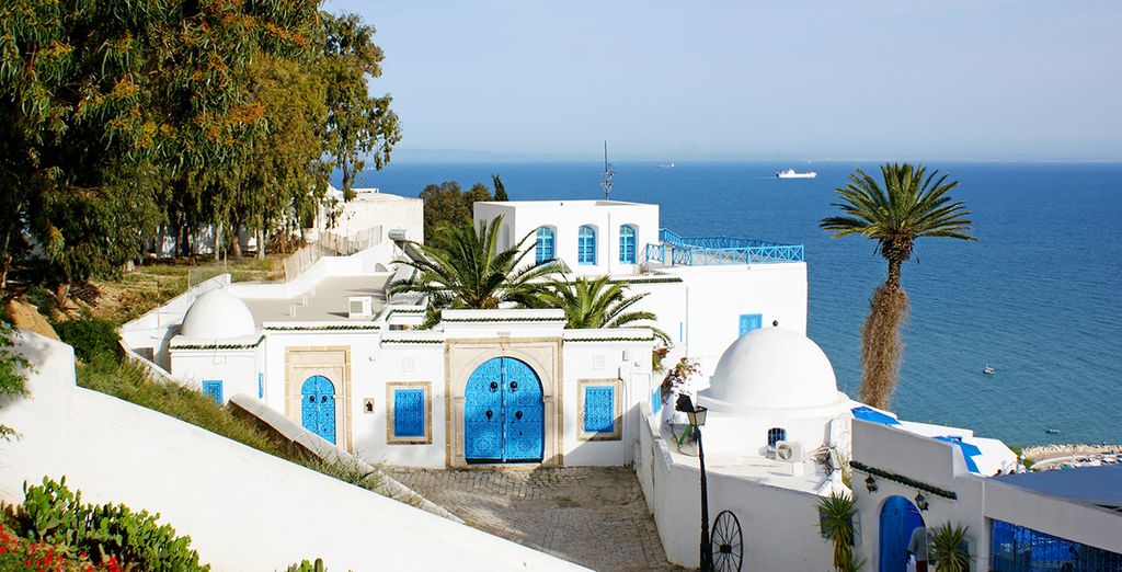 Tunisia tra deserto, oasi, palmeti e laghi salati