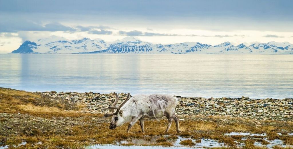 Soggiorno a Tromso alla ricerca delle Northern Lights