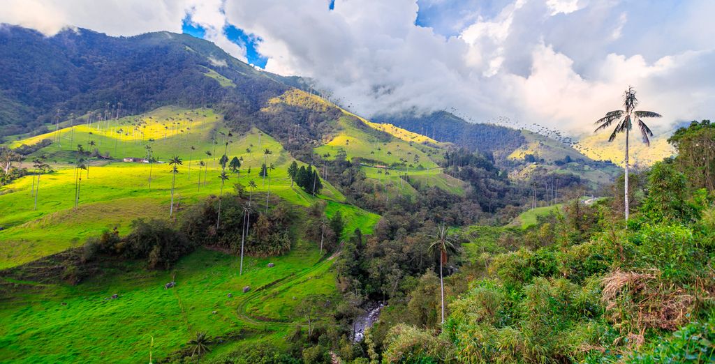 Le meraviglie della Colombia in tour privato