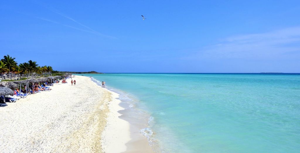 Sol Cayo Guillermo 4*