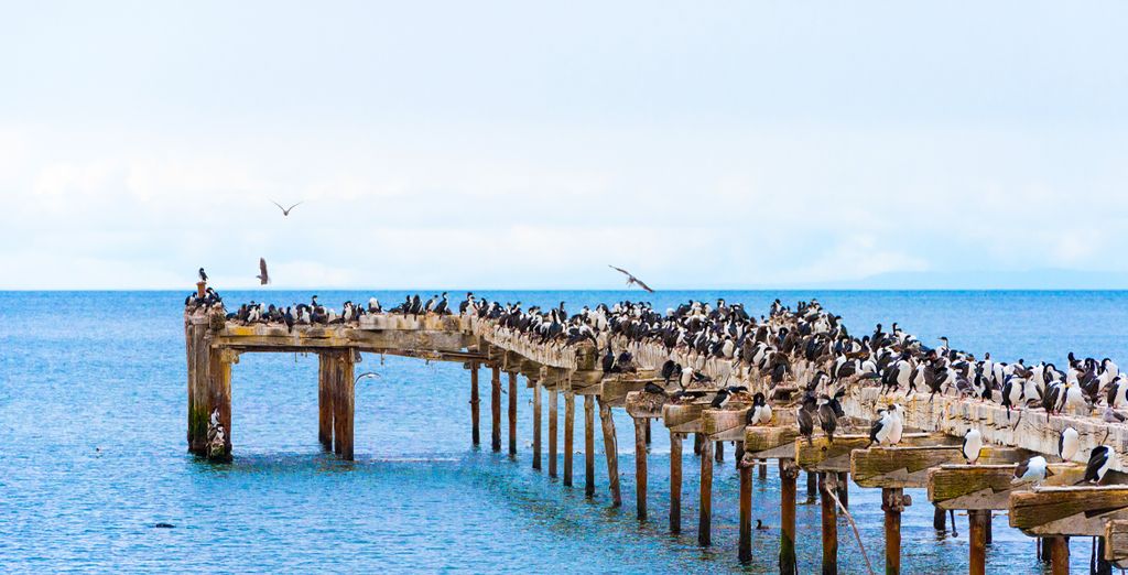 Tour da Santiago alla Patagonia
