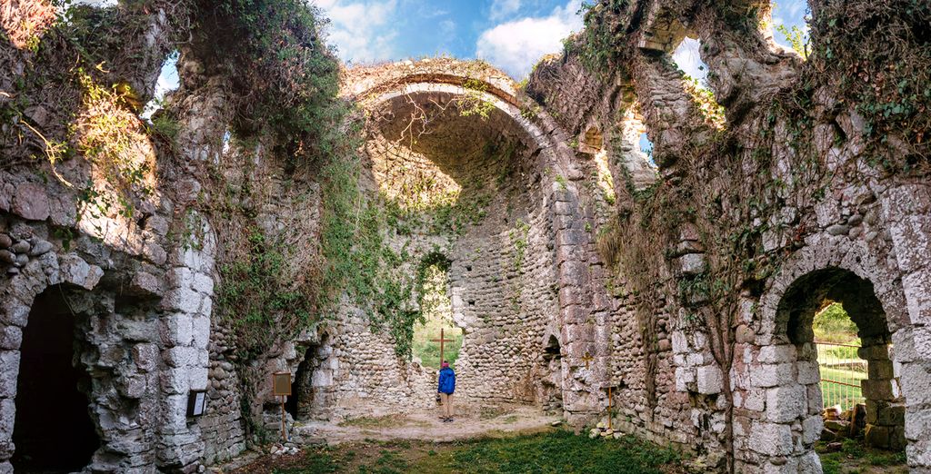 Tour dellle campagne irlandesi