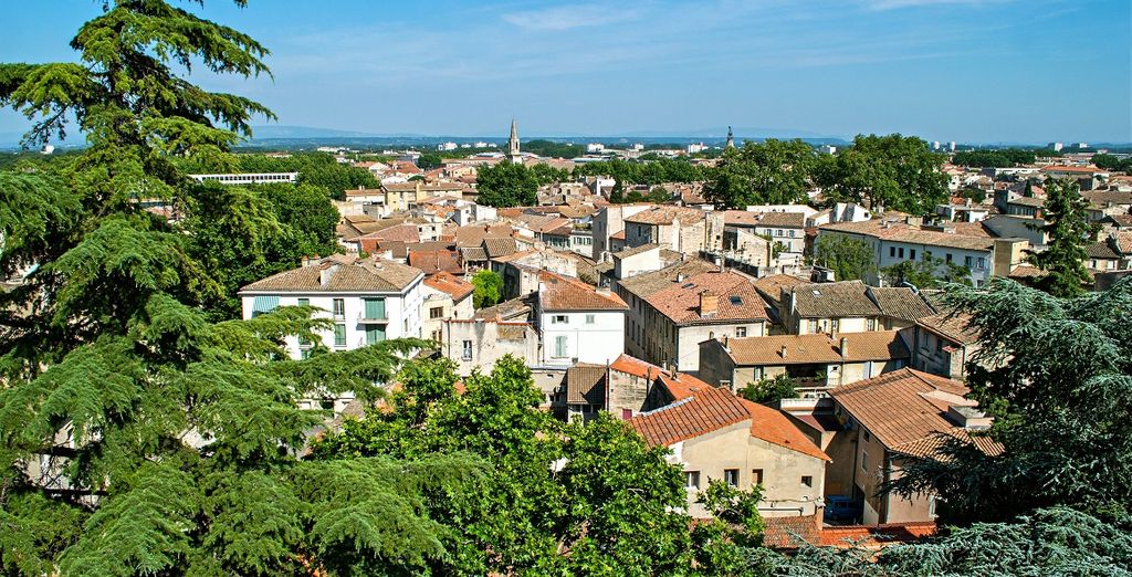 Crociera Fluviale lungo il Reno e Rodano - Speciale Agosto