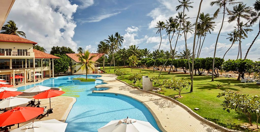 Tour privato alla scoperta delle meraviglie naturali dello Sri Lanka