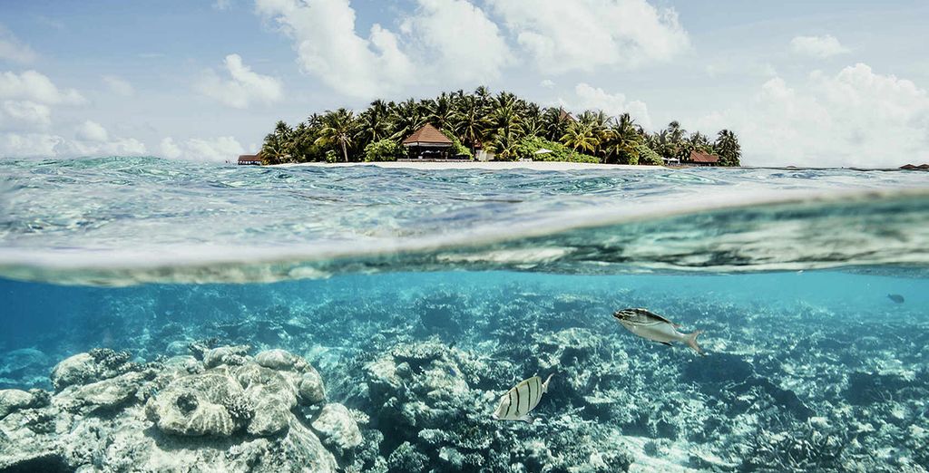 Tour 7 notti del Triangolo d'oro con possibile soggiorno alle Maldive