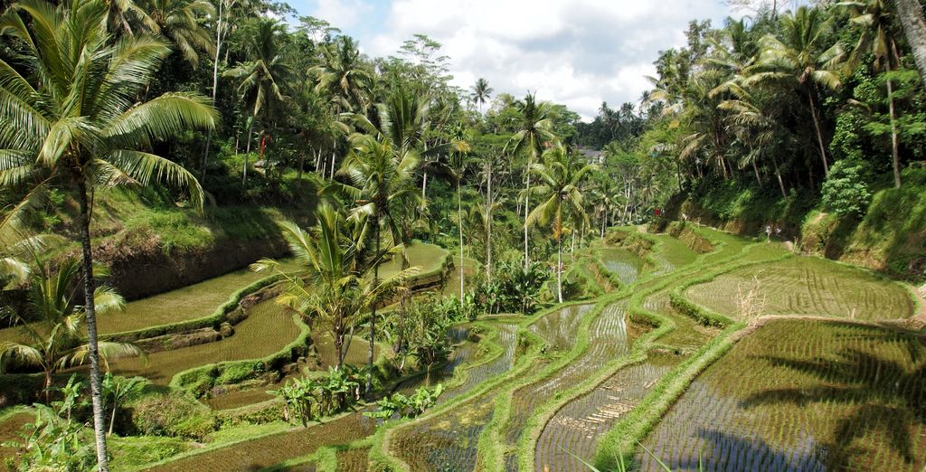 Ubud e Bali in tour di 7 notti