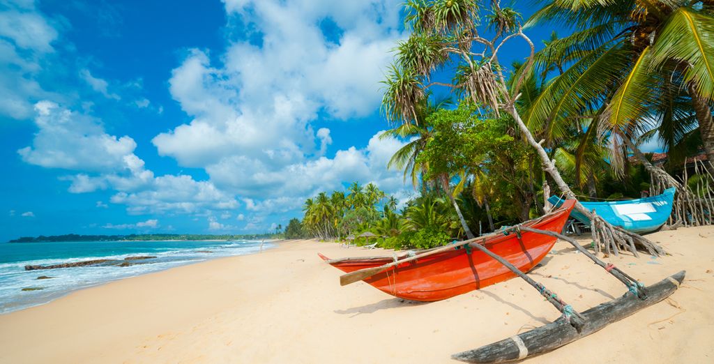 Tour alla scoperta dello Sri Lanka: da Colombo alla costa est