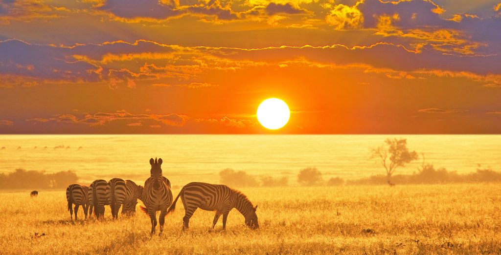 Safari in Sudafrica con possibile estensione al Radisson Blu Azuri Resort & Spa 4*S