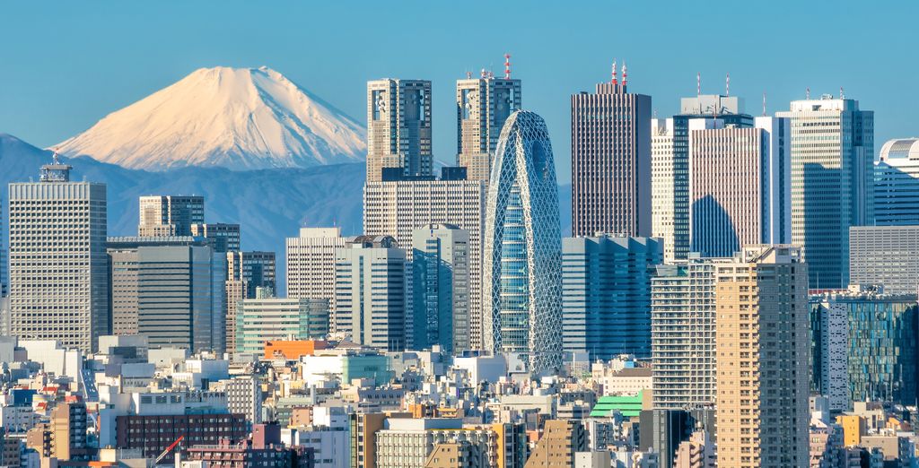 Tour di Tokyo e dei suoi dintorni