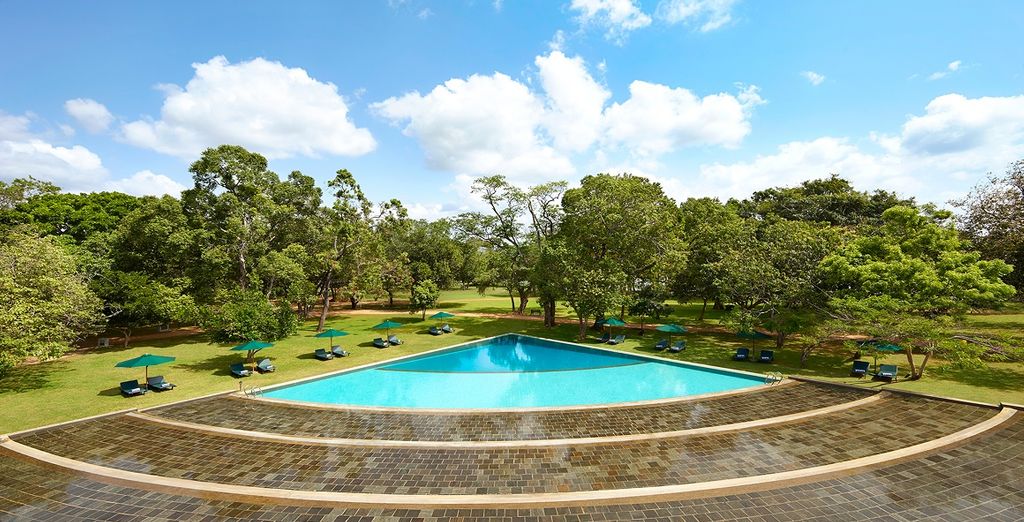 Tour dello Sri Lanka e soggiorno mare a Weligama