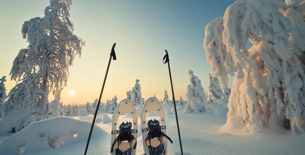 Da Rovaniemi alla Lapponia in Treno